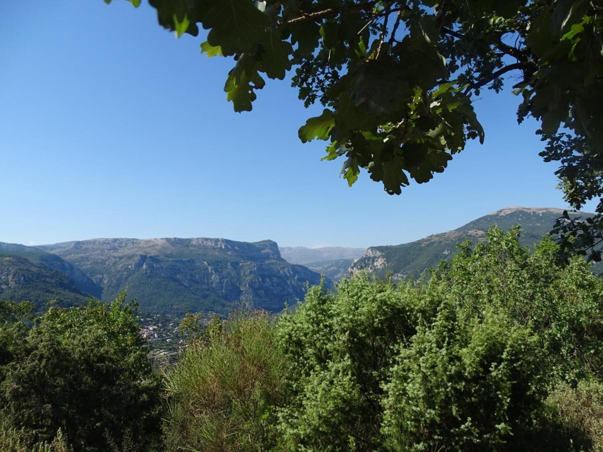 Luva D'Azur, Rez De Villa Le Riou - Le Vallon Le Bar-sur-Loup المظهر الخارجي الصورة