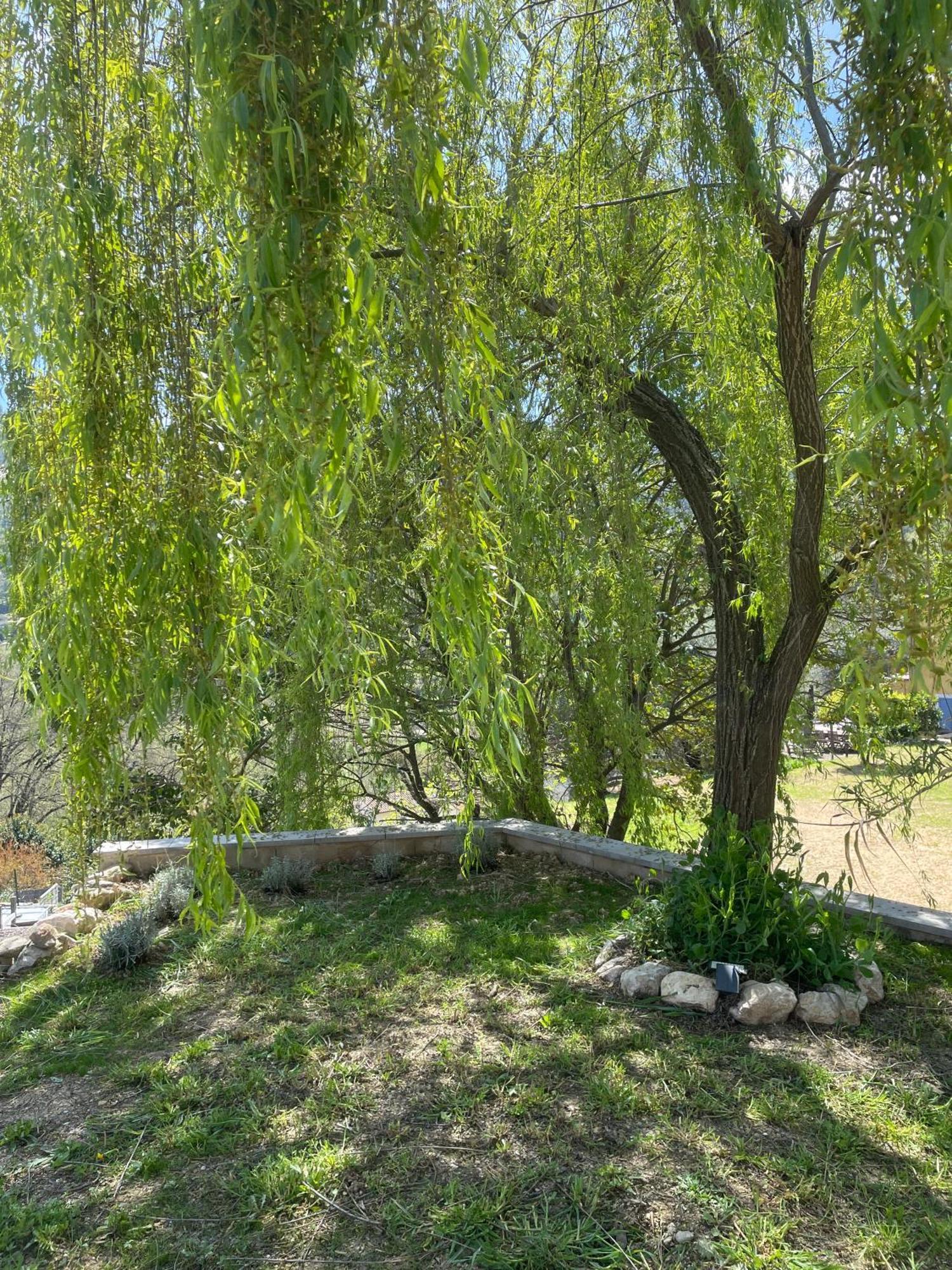 Luva D'Azur, Rez De Villa Le Riou - Le Vallon Le Bar-sur-Loup المظهر الخارجي الصورة